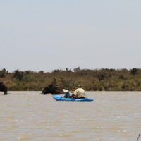 Ekorian-mugie-Kayaking