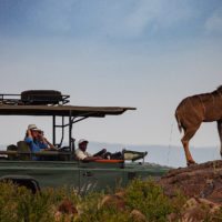 Loisaba-tented-camps-game-drives