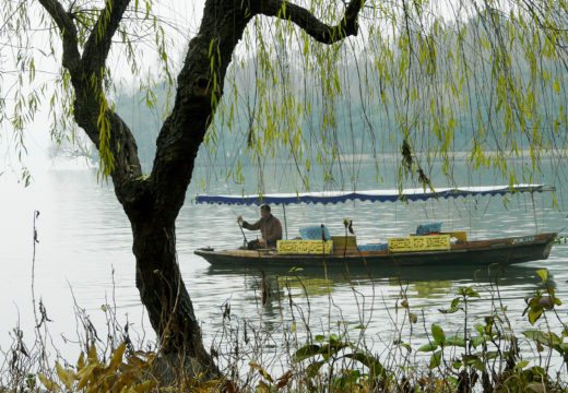 West-lake-lakeside-scenery-beautiful-Hangzhou