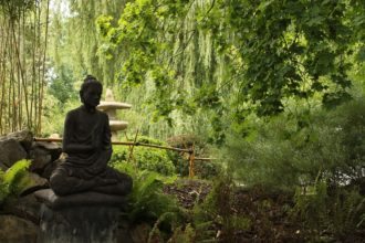 japan-zen-garden-buddha