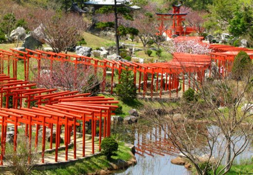 torii-red-shrine-japan-takayama