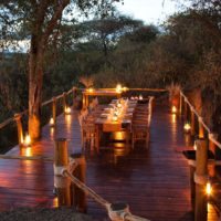 dining-terrace-under-baobab