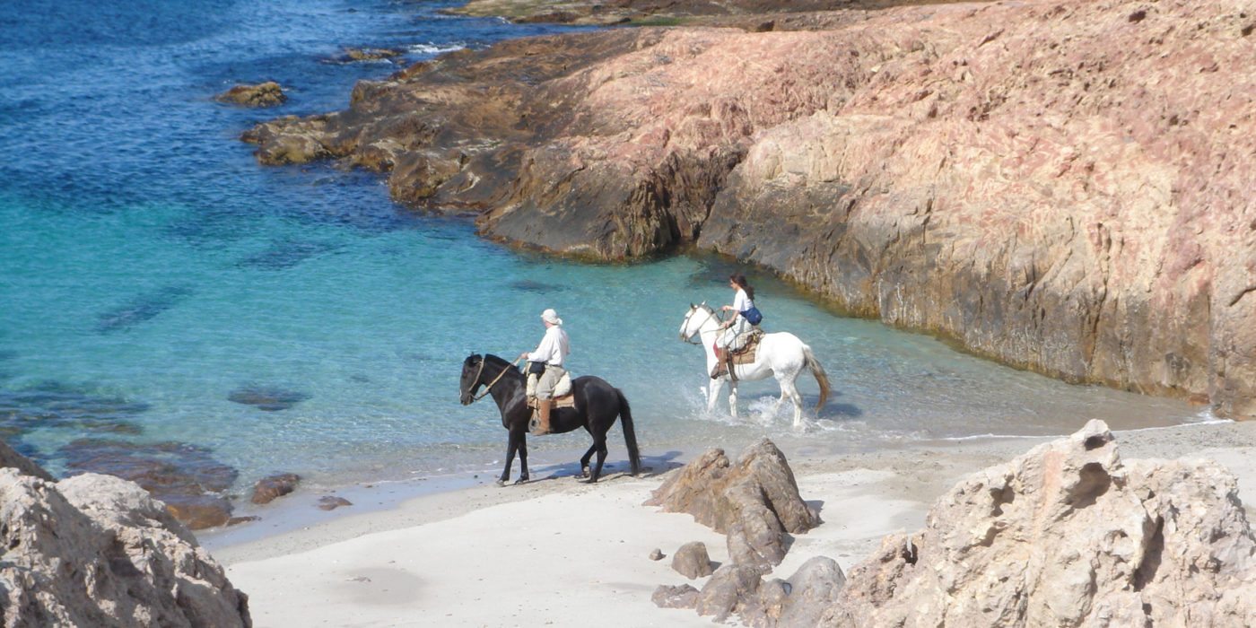 bahia-horseback-beach