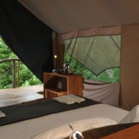 galapagos-safari-tent-interior