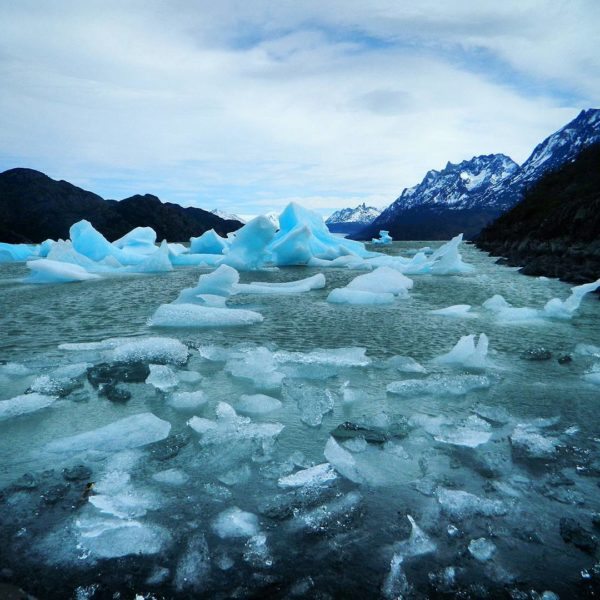 icebergs-drifting-off-of-glacier-grey