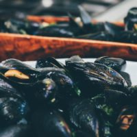 food-healthy-muscles-seafood