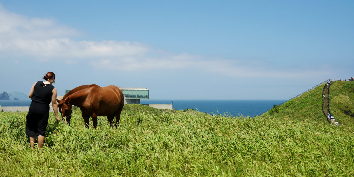 ju-island-landscape-sea-jeju-horse