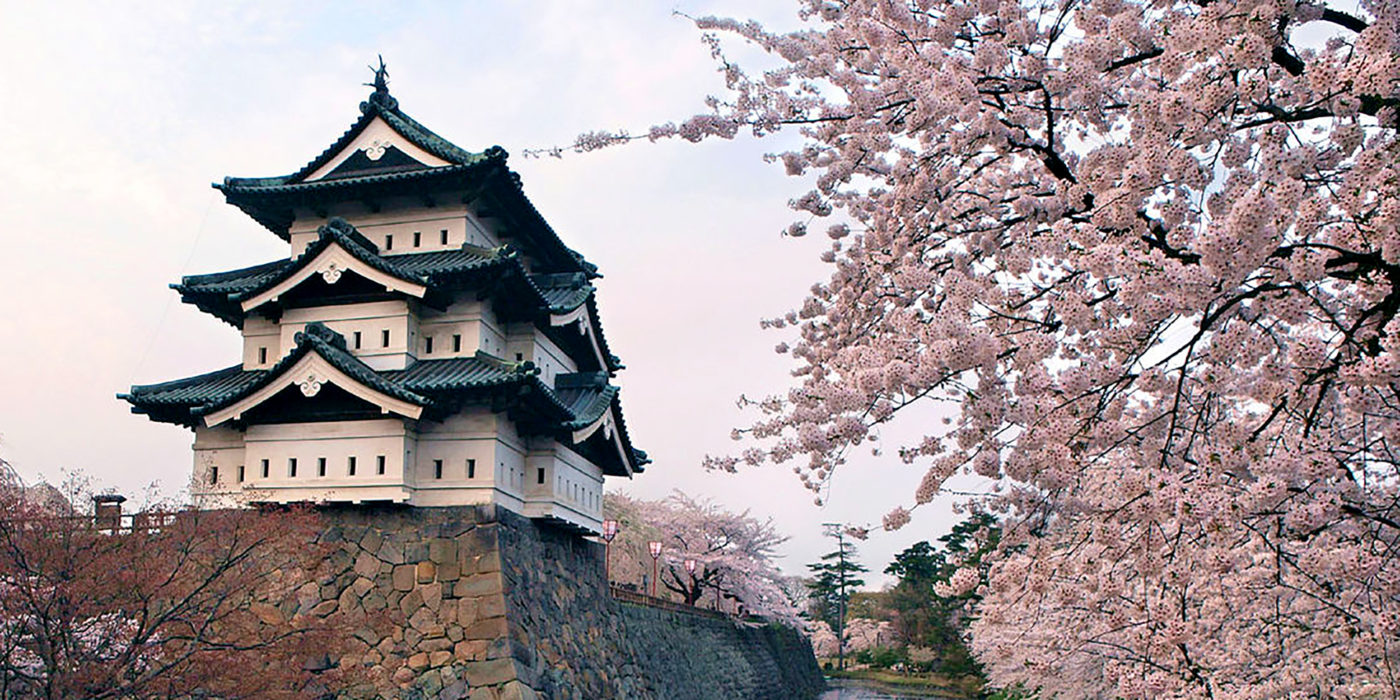 Hirosaki-castle-Sakura-cherry-blossom-japan