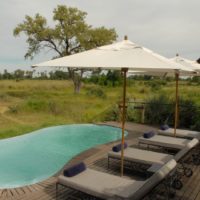 baines camp pool botswana sanctuary lodge