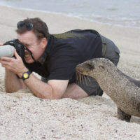 galapagos-ecuador-seal-photographer-camera