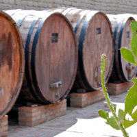 Bodegas_de_Cafayate_Argentina_wine_Barrels