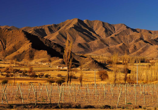 Calchaqui-Valley-Argentina-Cachi-wine-grapes-winery