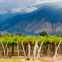 Calchaqui Valley Argentina Cafayate wine grapes winery