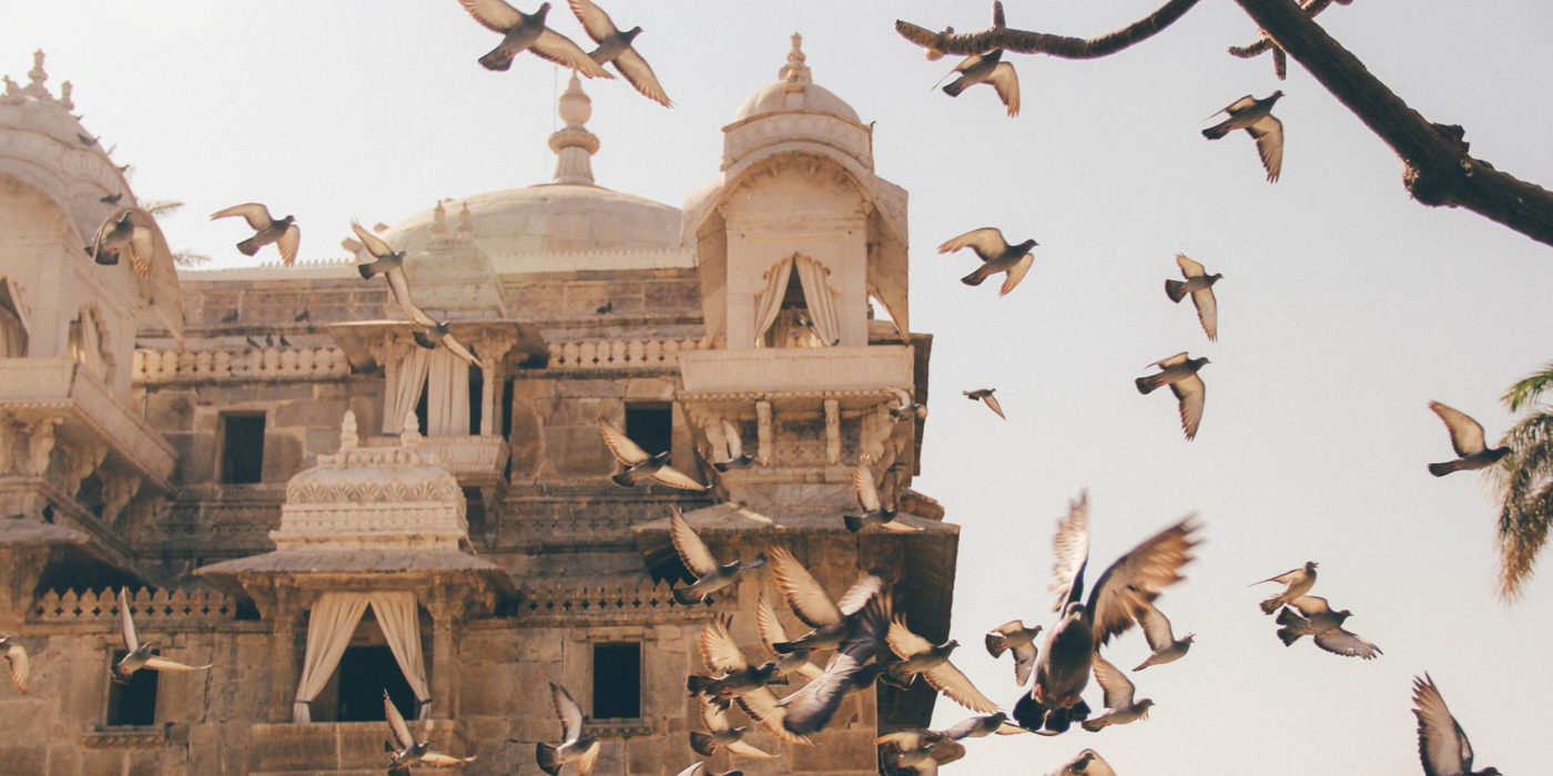 Udaipur_India_Tours_Travel_Architecture_birds