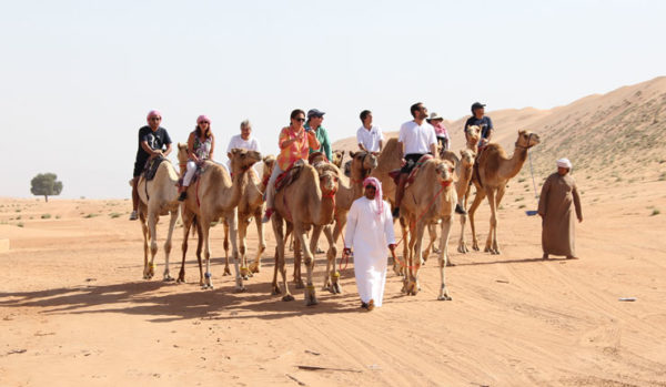 Wahiba-Wilderness_Camel _ride_oman_tours_desert_safari_yampu_tours