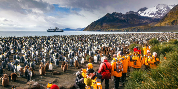 antarctica_cruise_Tours_expedition_ship_yampu_tours_penguins_quark