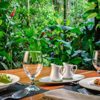 Luxury Vacation in Costa Rica meal dinner food gastronomy